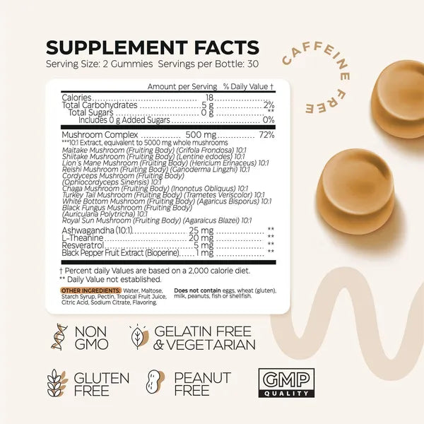 Mushroom Gummies 5000 Mg for Adults Lion's Mane and 9 Adaptogenic Mushrooms Blend Ashwagandha L Theanine Organic Adaptogenic Mix for Energy Immunity and Focus No GMO Sugar Free 2 Pack