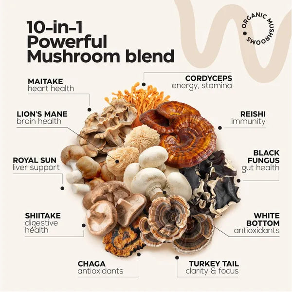Mushroom Gummies 5000 Mg for Adults Lion's Mane and 9 Adaptogenic Mushrooms Blend Ashwagandha L Theanine Organic Adaptogenic Mix for Energy Immunity and Focus No GMO Sugar Free 2 Pack